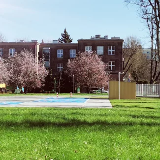 Plac zabaw z kolorowymi urządzeniami i zieloną trawą na pierwszym planie. W tle kwitnące drzewa ozdobne o różowych kwiatach oraz budynek z czerwonej cegły z dużymi oknami. Po prawej stronie widoczny metalowy płot i drzewa bez liści. Na pierwszym planie fragment boiska sportowego z niebieskim oznakowaniem.