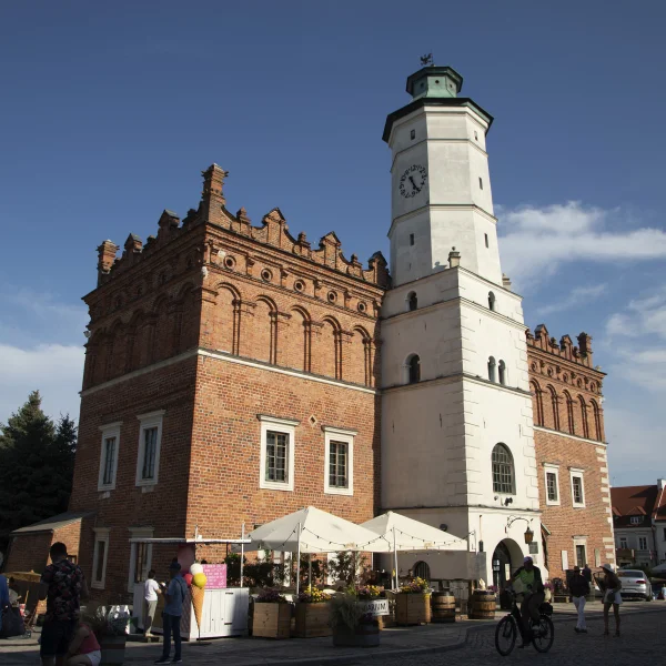 Ratusz w Sandomierzu – zabytkowy, ceglasty budynek z jasną wieżą zegarową na rynku, widoczny w słoneczny dzień, z ludźmi spacerującymi wokół.