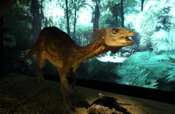 Model prehistorycznego zwierzęcia przypominającego małego dinozaura stoi w scenerii lasu paproci. Stworzenie ma długi ogon, smukłe ciało, jasne oczy i pióropodobne kolce na głowie. Otacza je zielone, gęste tło imitujące pradawne środowisko.