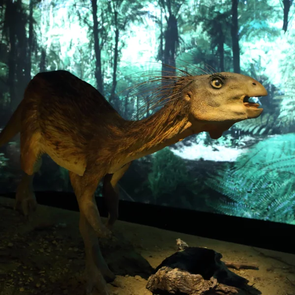 Model prehistorycznego zwierzęcia przypominającego małego dinozaura stoi w scenerii lasu paproci. Stworzenie ma długi ogon, smukłe ciało, jasne oczy i pióropodobne kolce na głowie. Otacza je zielone, gęste tło imitujące pradawne środowisko.