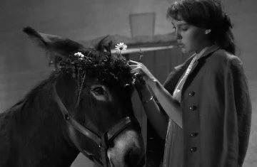 A black-and-white photo shows a young woman gently placing a flower wreath on a donkey’s head. The animal stands calmly, and the scene has a quiet, melancholic atmosphere.