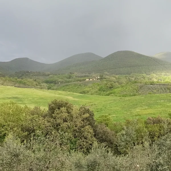 Zdjęcie przedstawia widok na góry. Na pierwszym planie zielona polana a w tle góry. Niebo jest szare.