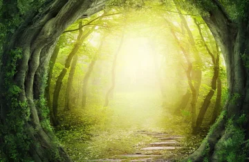 grafika przedstawia las, drzewa tworzą okrąg, oświetlony światłem słońca