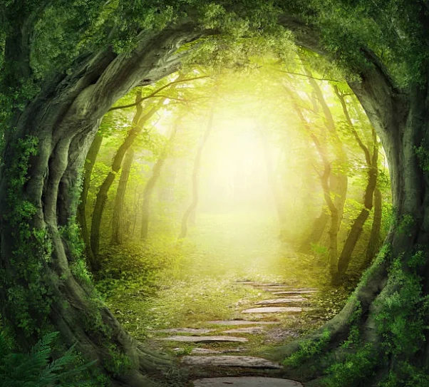 grafika przedstawia las, drzewa tworzą okrąg, oświetlony światłem słońca