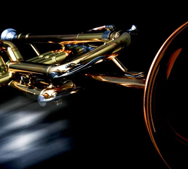 zdjęcie przedstawia złotą trąbkę